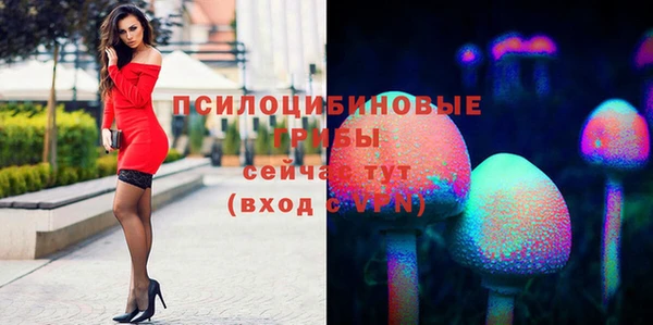 крисы Беломорск