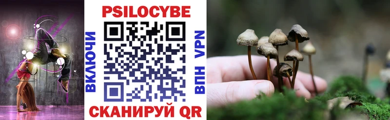 Галлюциногенные грибы мицелий  купить наркотик  Котельнич 